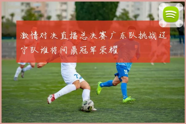 激情对决直播总决赛广东队挑战辽宁队谁将问鼎冠军荣耀